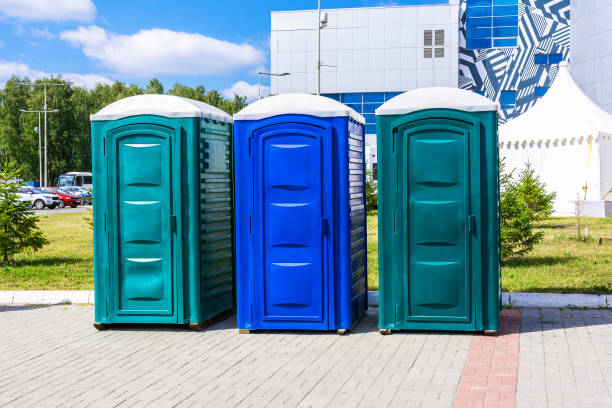 Best Portable Toilets with Baby Changing Stations in Alorton, IL